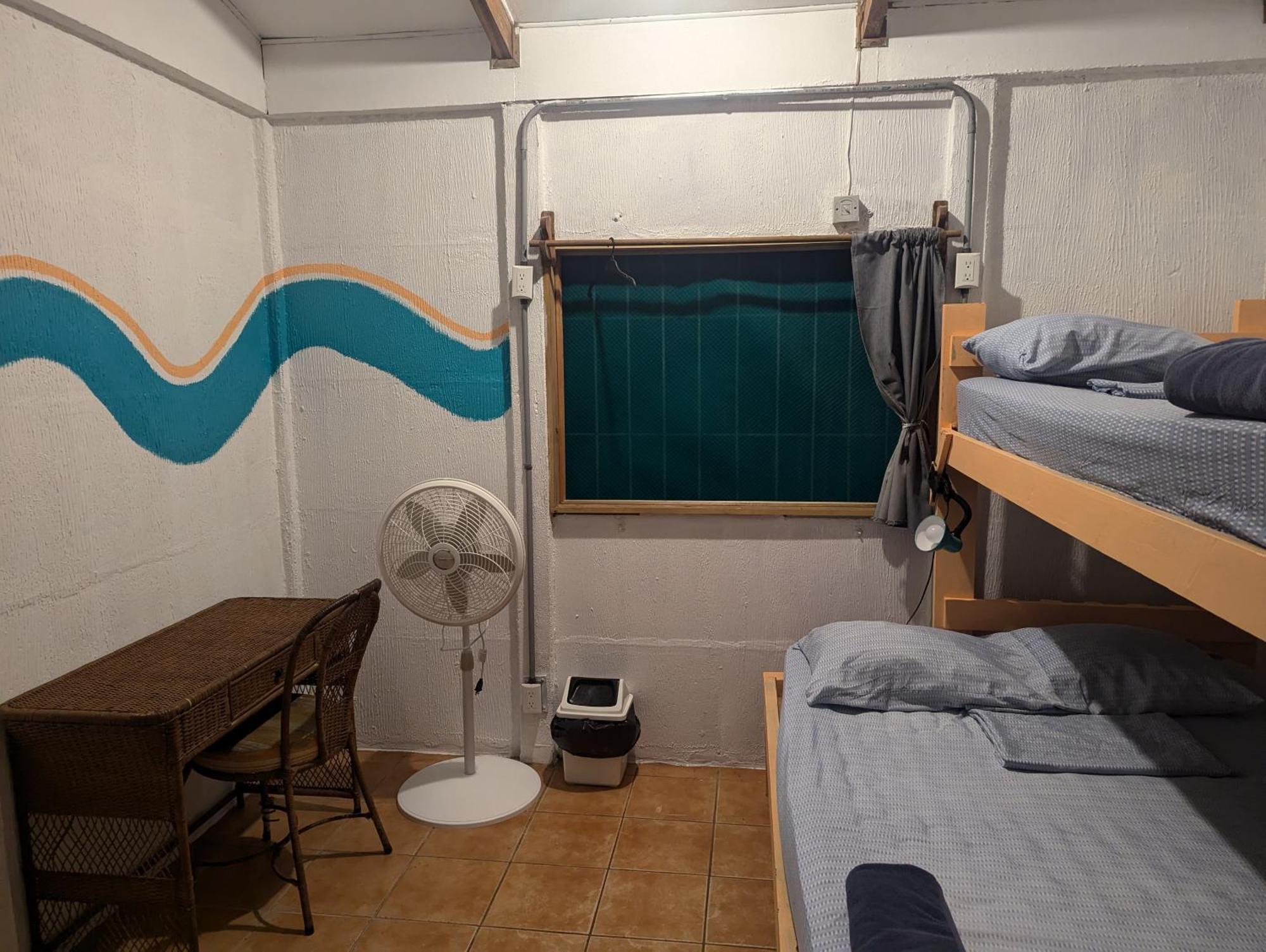 Tasty Dayz Hostel Puerto Viejo de Talamanca Extérieur photo