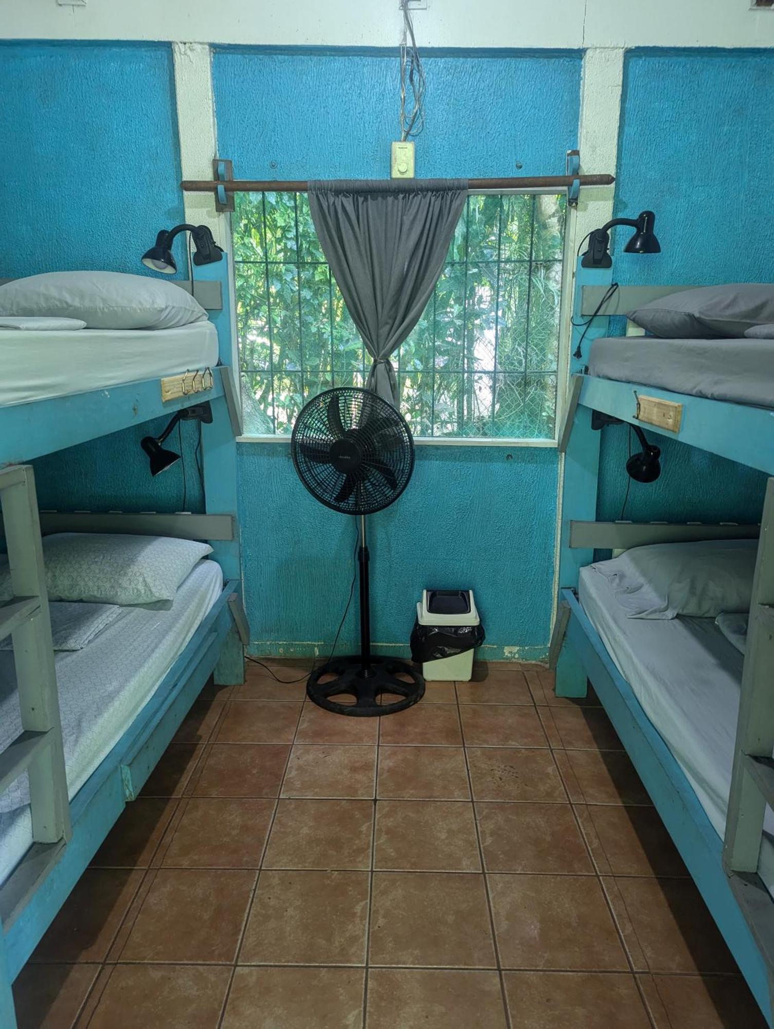 Tasty Dayz Hostel Puerto Viejo de Talamanca Extérieur photo