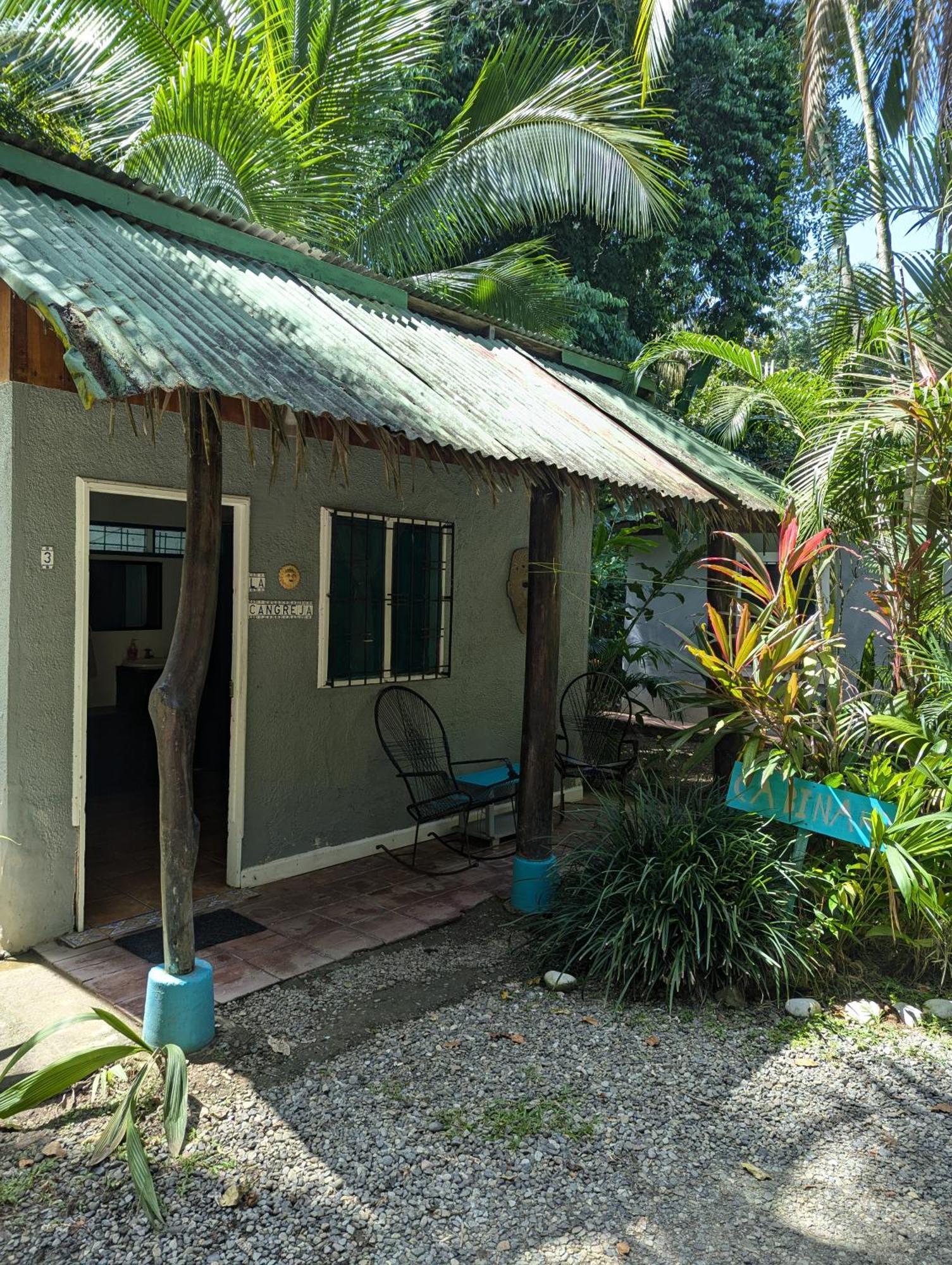 Tasty Dayz Hostel Puerto Viejo de Talamanca Extérieur photo