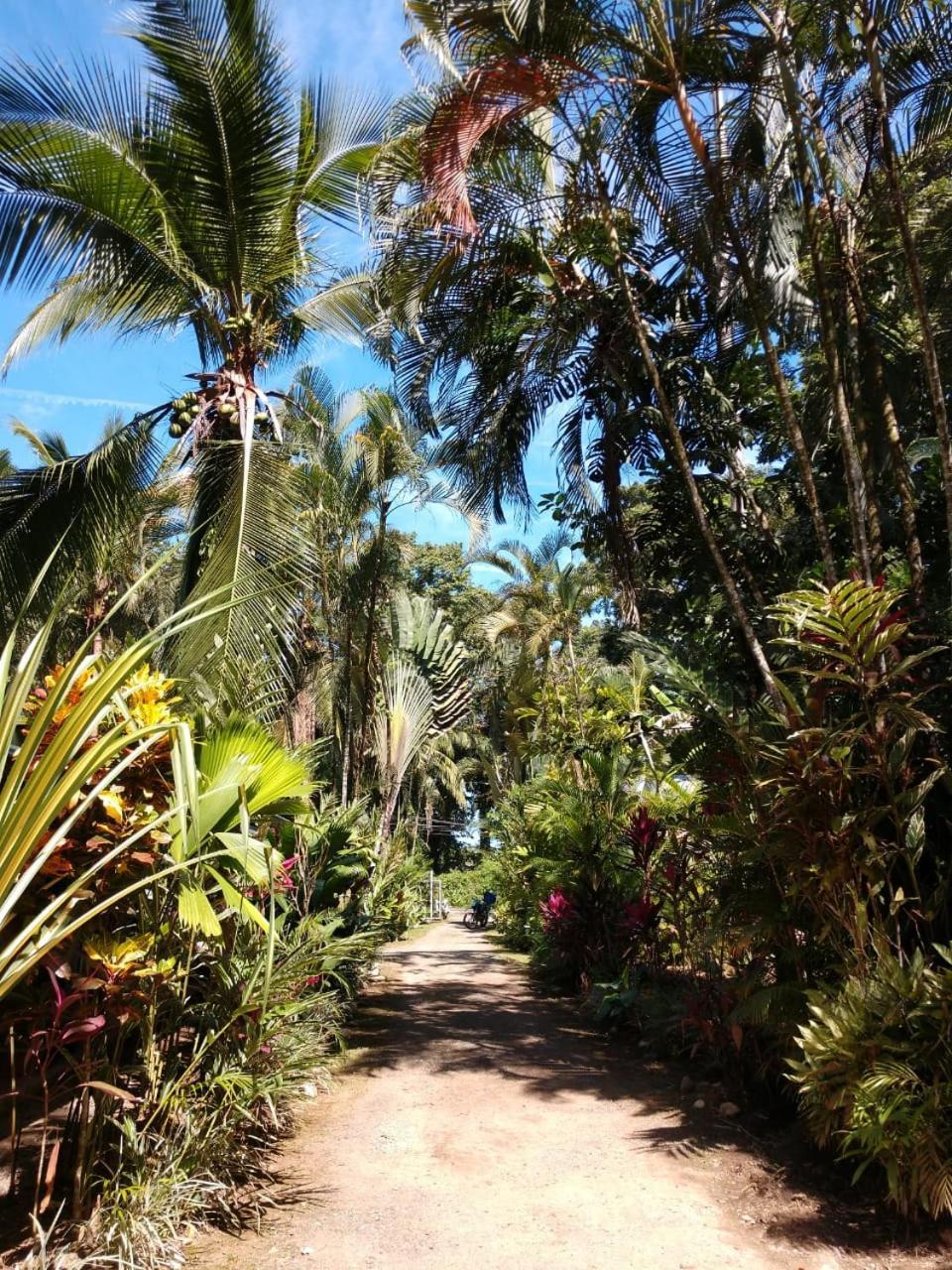 Tasty Dayz Hostel Puerto Viejo de Talamanca Extérieur photo