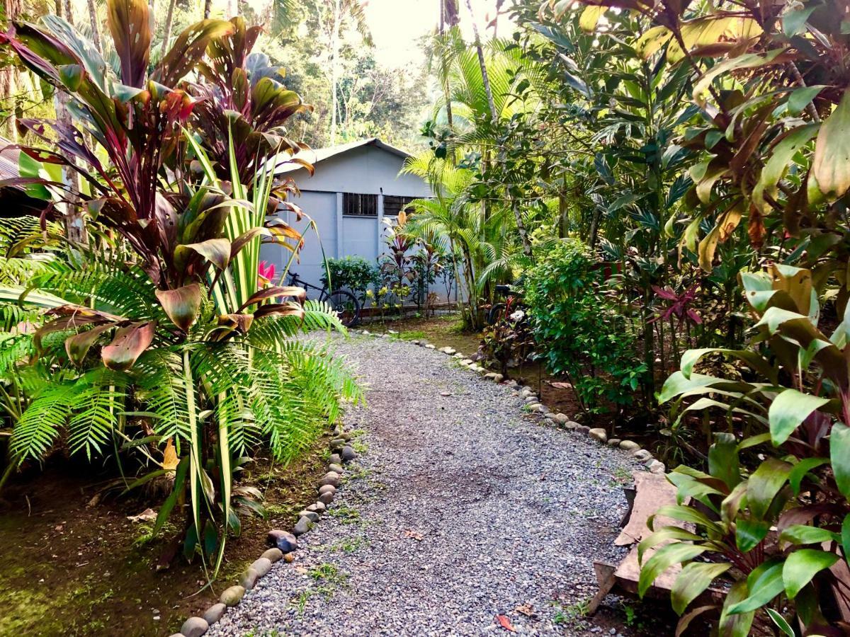 Tasty Dayz Hostel Puerto Viejo de Talamanca Extérieur photo