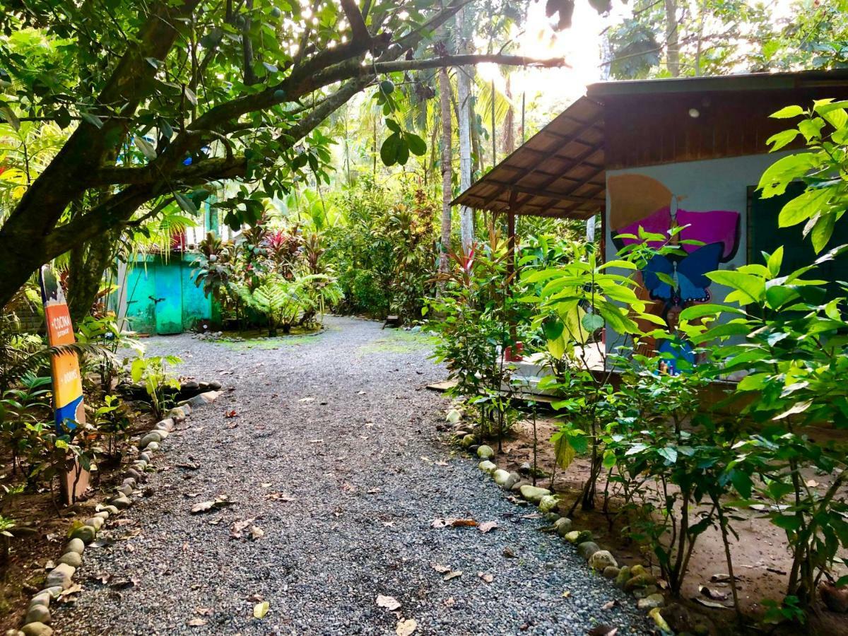 Tasty Dayz Hostel Puerto Viejo de Talamanca Extérieur photo