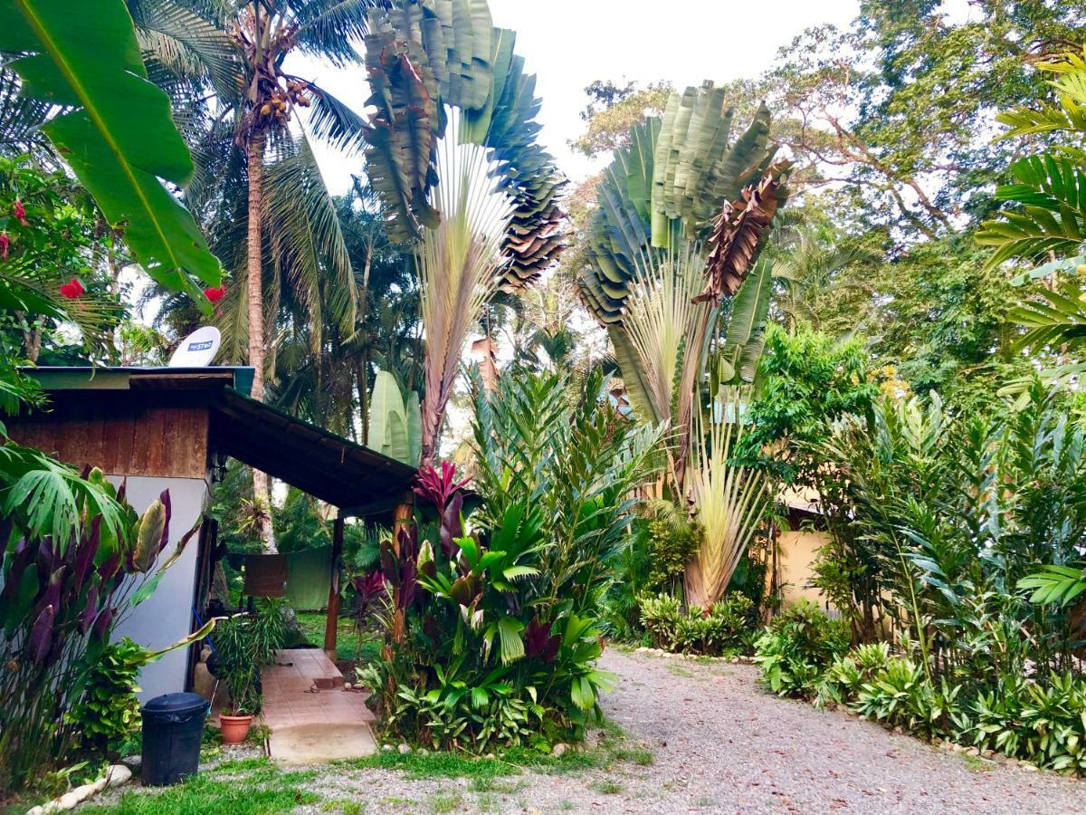 Tasty Dayz Hostel Puerto Viejo de Talamanca Extérieur photo