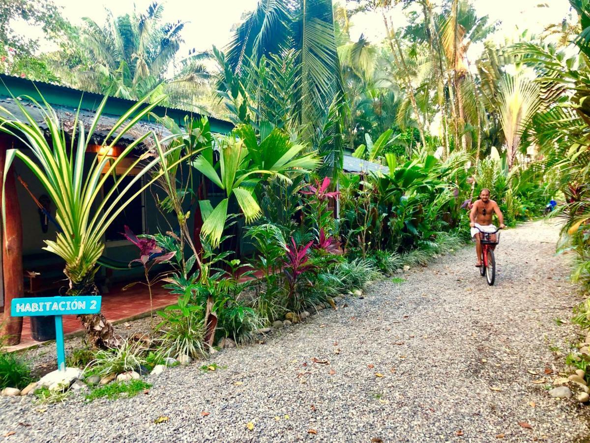 Tasty Dayz Hostel Puerto Viejo de Talamanca Extérieur photo