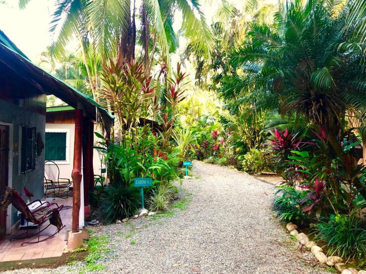 Tasty Dayz Hostel Puerto Viejo de Talamanca Extérieur photo