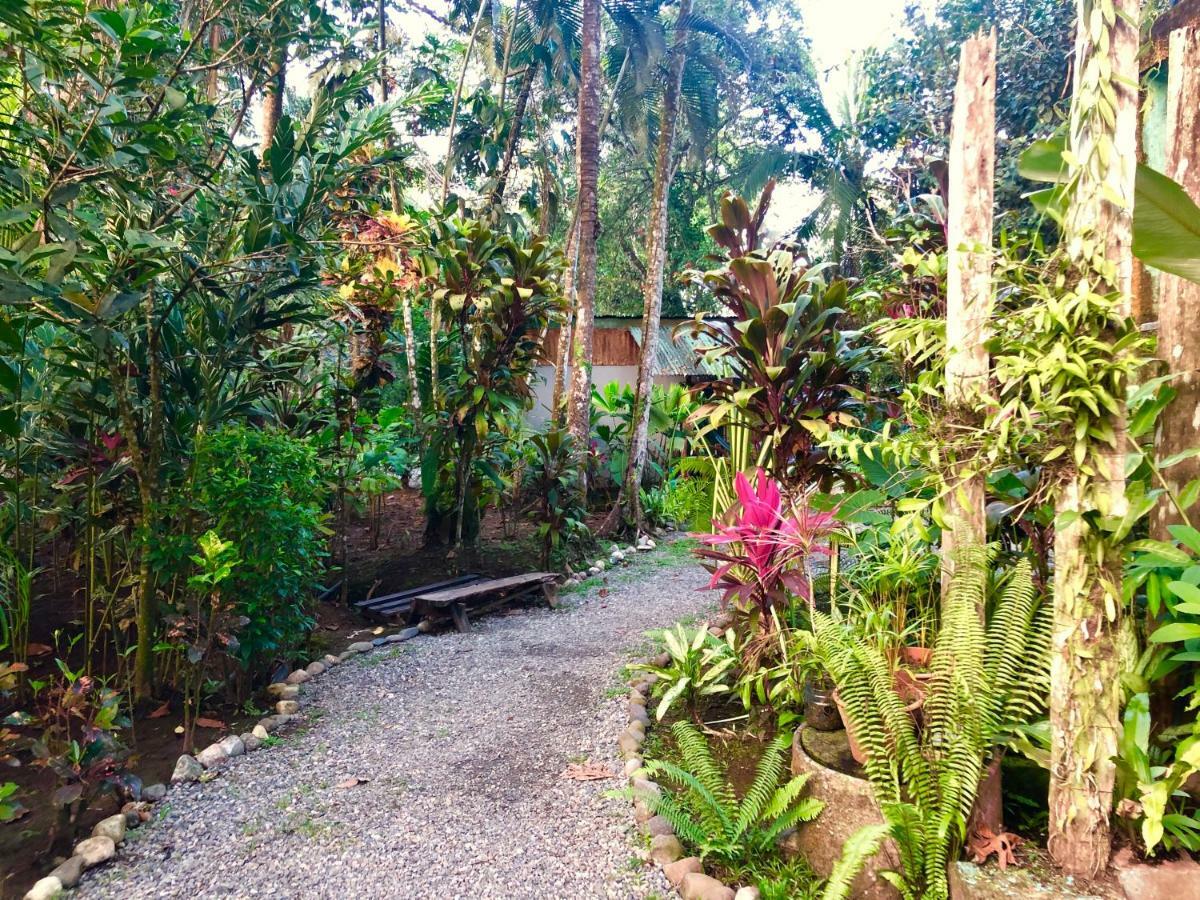Tasty Dayz Hostel Puerto Viejo de Talamanca Extérieur photo